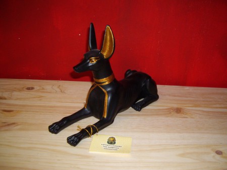 anubis middelgroot thuisprijs 20.=